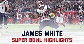 James White Sets Super Bowl Record | Patriots vs. Falcons | Super Bowl Player Highlights