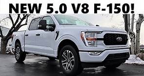 2021 Ford F-150 5.0 V8: Should You Get The 5.0 Over the 3.5 EcoBoost???