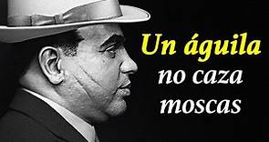 ¡Estas palabras de AL CAPONE dan la piel de gallina! ¡Citas, aforismos y pensamientos de Al Capone!