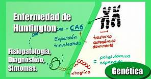 Enfermedad de Huntington | Corea de Huntington | fisiopatología, diagnóstico, genética, síntomas.