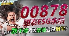 國泰ESG永續(00878)為何跌不停？高股息的股票怎麼了？