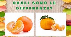 Clementina e mandarino : Quali sono le differenze