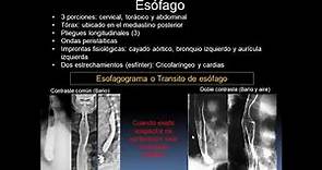 Radiología del tubo digestivo - Forlino