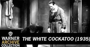 Preview Clip | The White Cockatoo | Warner Archive