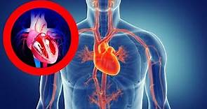 El SITEMA CIRCULATORIO explicado: funciones, partes, corazón, vasos sanguíneos
