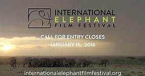 International Elephant Film Festival trailer