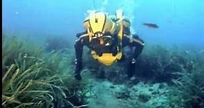El Mundo Submarino De Jacques Cousteau - El Gran Pulpo