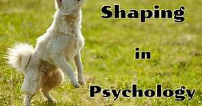 Shaping in Psychology: Behavior Modification Through the Method of Successive Approximations
