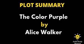 Summary Of The Color Purple By Alice Walker - A Novel, The Color Purple By Alice Walker