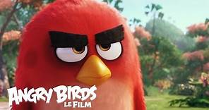 Angry Birds - Bande-annonce Teaser officielle - VF