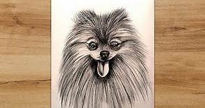 How to Draw a Pomeranian Dog Step by Step | Pencil Sketch for Beginners