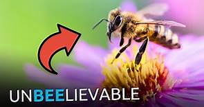 Sorry, Evolutionists: Bees DESTROY Your Entire Worldview