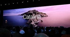 Is your Mac compatible with MacOS Catalina? Here’s how you can find out