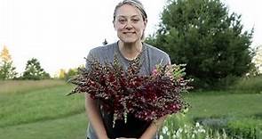 Harvesting Flowers for Market in Early July : Upstate New York : Snapdragons, Astilbe, Baptisia MORE