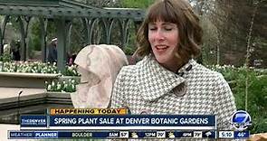 Denver Botanic Gardens hosting its Spring Plant Sale