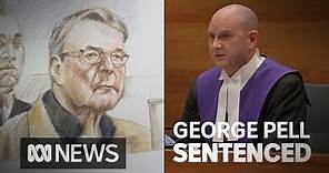 Cardinal George Pell's sentencing in full | ABC News