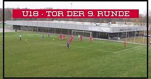 Halb-Volley nach Eckball | Romeo Vucic ( AKA FK Austria Wien U18) | ÖFB Jugendliga U18