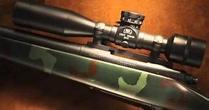 NFM Treasure Gun - Marine Sniper Rifles