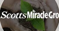 The Scotts Miracle-Gro Company | LinkedIn