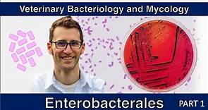 Enterobacterales - non-E. coli (Part 1) - Veterinary Bacteriology and Mycology