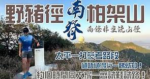 柏架山🐗 野豬徑南脊 ⛰️［香港行山郊遊路線] 探小徑上山｜4K拍攝｜邊條值得行邊條無著數！｜太平一打參考路段｜太平一打試鞋試路預告|香港島行山郊遊路線