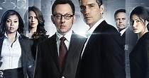 Person of Interest - streaming tv series online