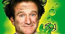 Flubber streaming: where to watch movie online?