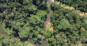 Los desafíos ambientales para el Perú en 2022: reducir la deforestación de la Amazonía, proteger a los defensores ambientales y mirar el mar y los ríos
