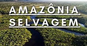 Amazônia Selvagem - Berço da vida | Documentário dublado HD