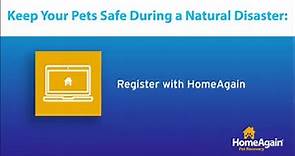 Login or register at HomeAgain.com. Any microchip welcome!