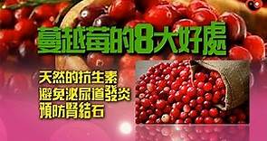 【蔓越莓的8大好處！】避免泌尿道發炎、預防腎結石！天然的抗生素