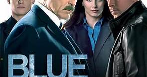 Blue Bloods: The Price Of Justice