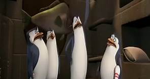 Los pingüinos de Madagascar Temporada 1 Capitulo 24 – Cuajito & Estrellas de televisión