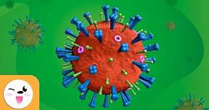 ¿Qué son los virus? - Ciencias para niños - Partes de los virus