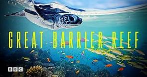 Great Barrier Reef | BBC Select