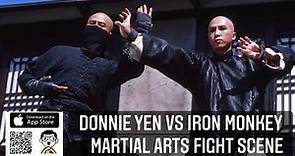 Donnie Yen vs Yu Rongguang in Iron Monkey - Rooftop Scene HD 1080 Martial Arts