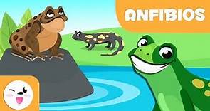 Los anfibios para niños - Animales vertebrados - Ciencias naturales para niños