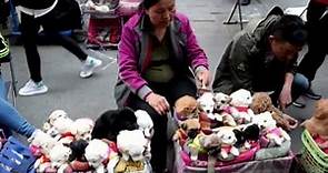 This is How They Sell Puppies in China! (THIS VIDEO WILL MAKE YOU SAD)
