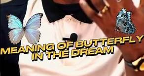 Dream of Butterflies | The spiritual meaning by Dr. Paul S Joshua