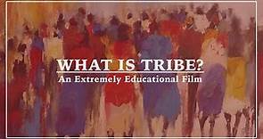 What is Tribe?