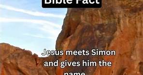 Did Jesus 🙏 Name Simon Cephas? ❤️ #bible #facts #shorts