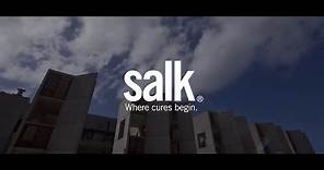Salk architecture - introduction