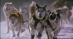 Aventuras en Alaska (Snow Dogs) - Trailer