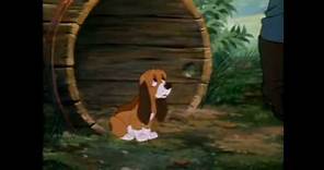 Fox and the hound: Todd meets Copper