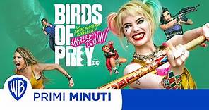 Primi Minuti | Birds of Prey (e la fantasmagorica rinascita di Harley Quinn)