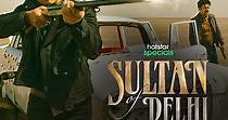 Sultan of Delhi - streaming tv show online