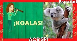 Koalas | Video Educativo para niños | ACOSPI - All about Koalas in Spanish for kids