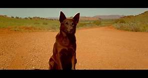 Red Dog: True Blue Trailer