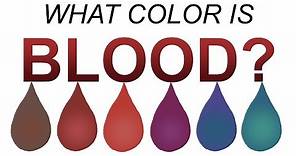 What color is blood REALLY? (Full length version)