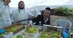 Sukkot Vibes in Mea She'arim, Jerusalem אווירת ערב סוכות בירושלים | 2023